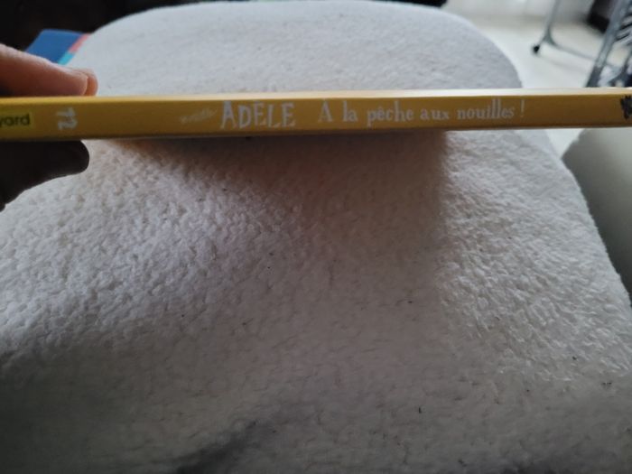 mortelle adèle à la pêche aux nouilles  (6e) - photo numéro 2