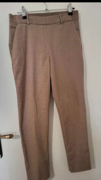 Chino  classe