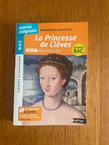 Livre la princesse de Clèves