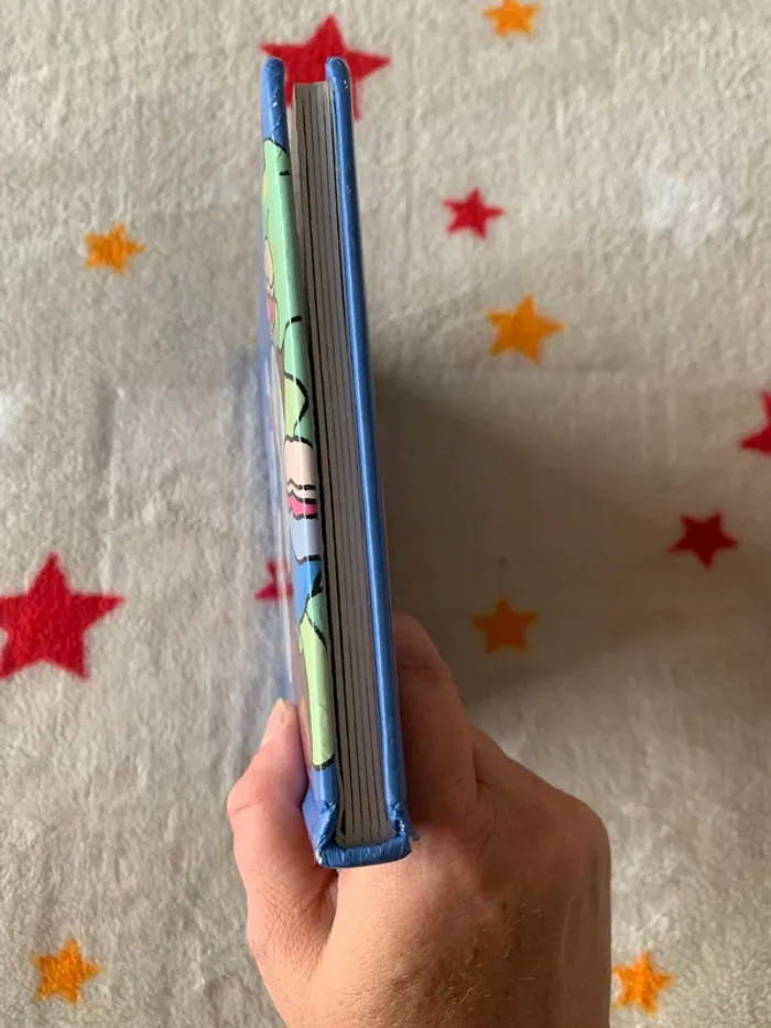 Livre T’choupi aime papa – Nathan – très bon état - photo numéro 5