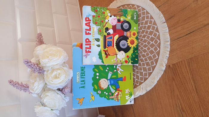 Lot 2 livres animés