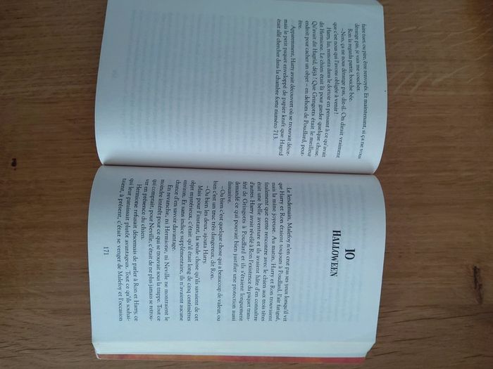 Livre ”Harry Potter à l’école des sorciers” - photo numéro 3