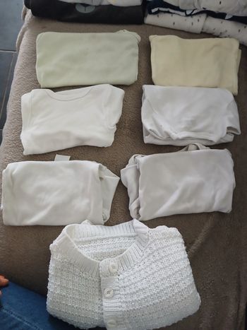 Lot bodies 6m