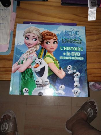 Livre histoire et DVD reine des neiges