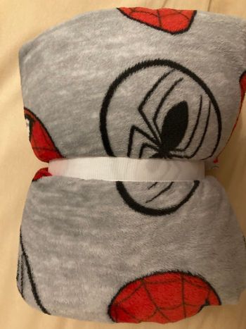 Plaid Spiderman Marvel