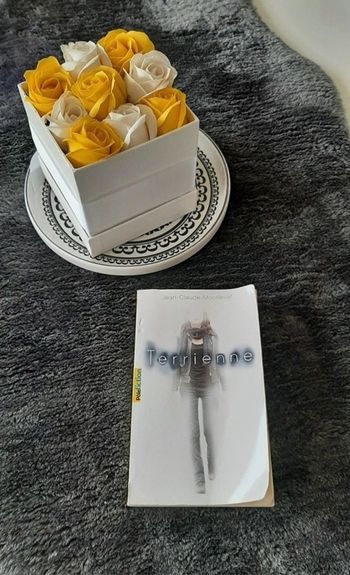 Roman les Terriennes