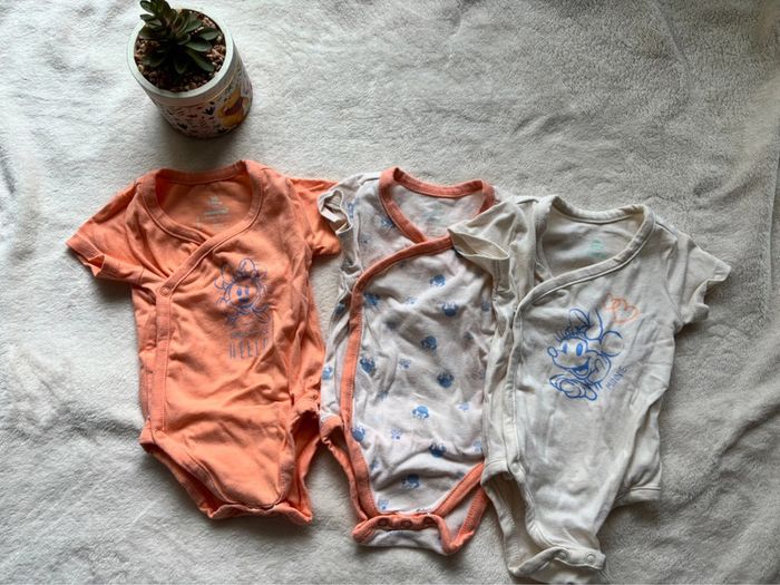Lot Bodie Disney