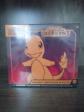 Pokémon
ETB
Écarlate et Violet EV3
Flammes Obsidienne