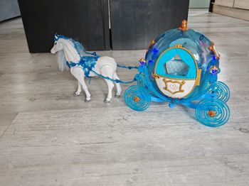 Carrosse avec cheval