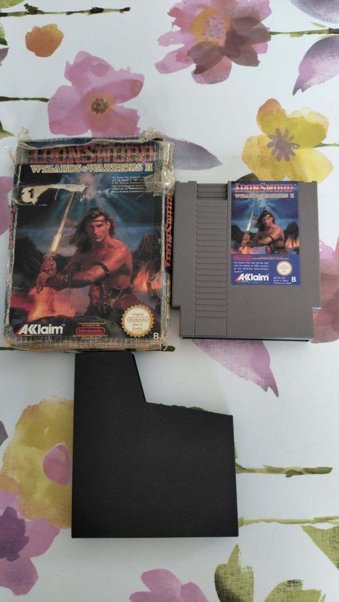 Iron Sword Wizards Warriors II