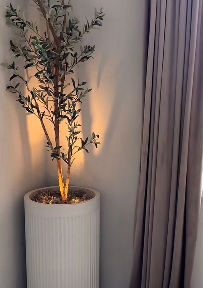 Spot pour plante d’intérieur