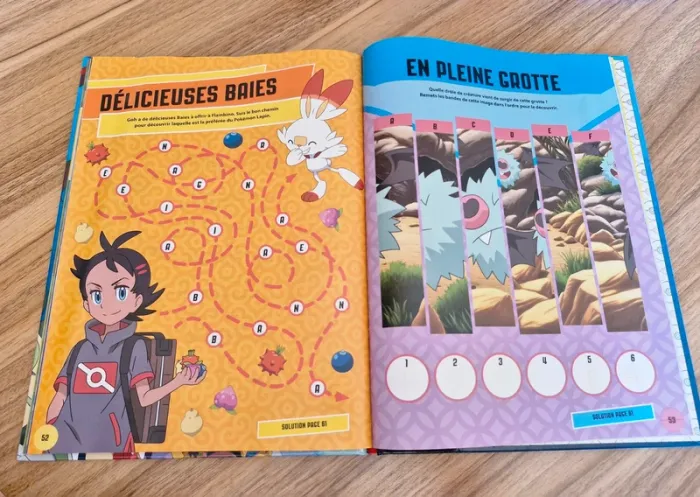 Livre Pokémon - photo numéro 3