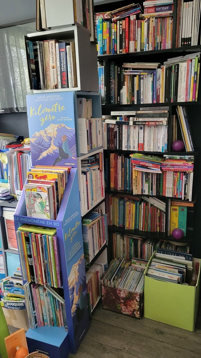 Livres jeunesses je vide les etageres bébé et jeunesses pour avoir de la place, à vos recherches - photo numéro 8