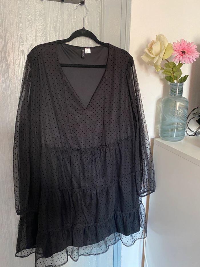 Robe plumetie