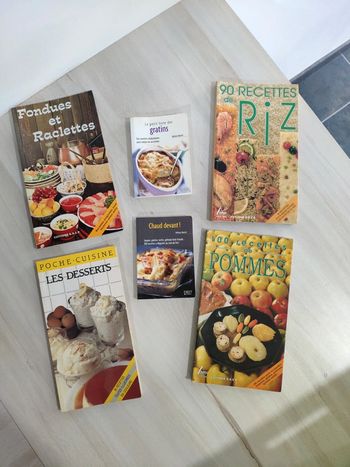 Lot 6 livres cuisine recettes pommes riz desserts fondues raclettes gratins