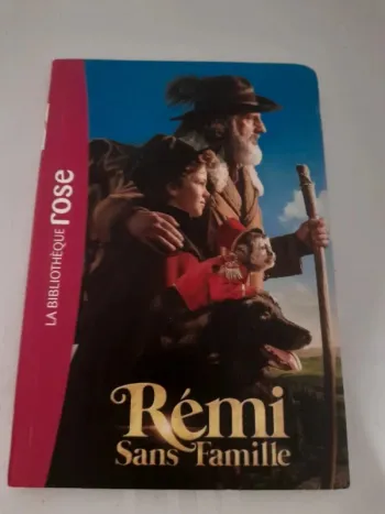 Livre Rémi sans famille 8/10ans