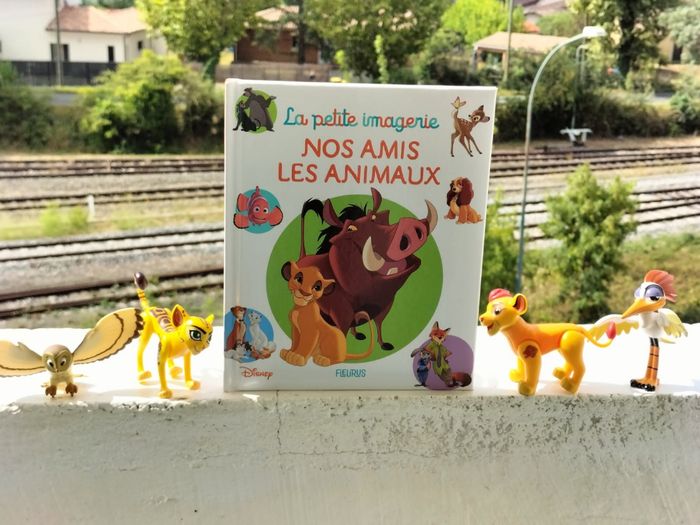 Pack théme le Roi lion et livre