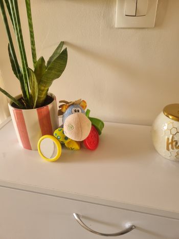 Jeux playgro