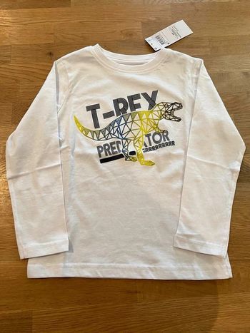 tee shirt manche longue dinosaure