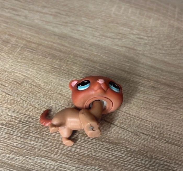 Petshop Furet #334 - photo numéro 2