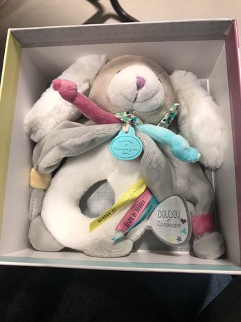 Doudou chien Toopi hochet