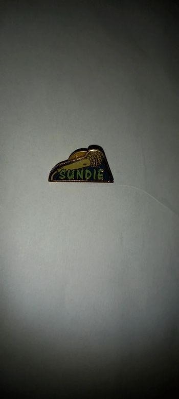 Pin's sundie