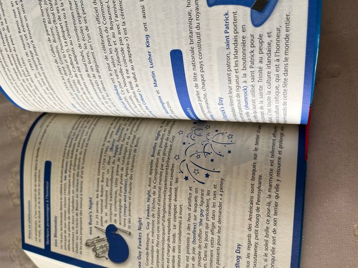 Dictionnaire Collège Anglais - photo numéro 4