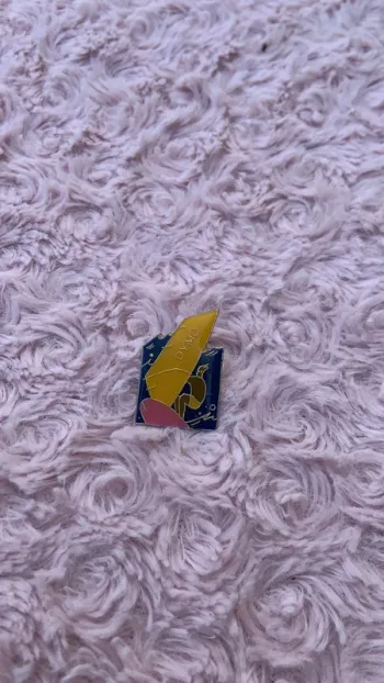 pin’s
