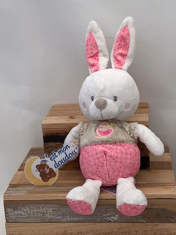 MD58 doudou lapin mots d’enfants