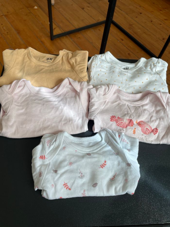 Lots 5 bodies