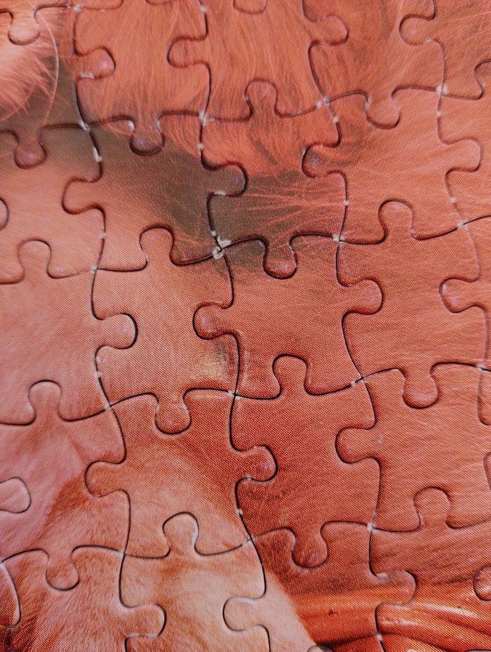 Puzzle chat et chien 500 pièces - photo numéro 6