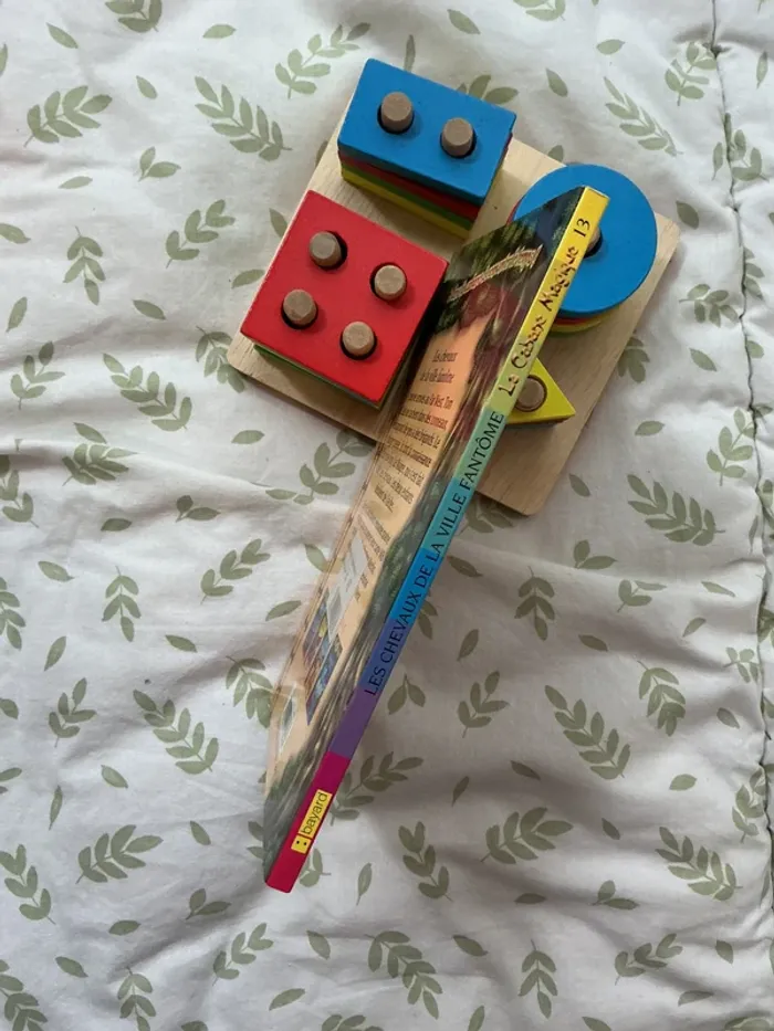 livre la cabane magique tome 13 les chevaux de la ville fantôme - photo numéro 4