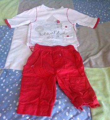 Ensemble ours sucre d'orge 1 mois