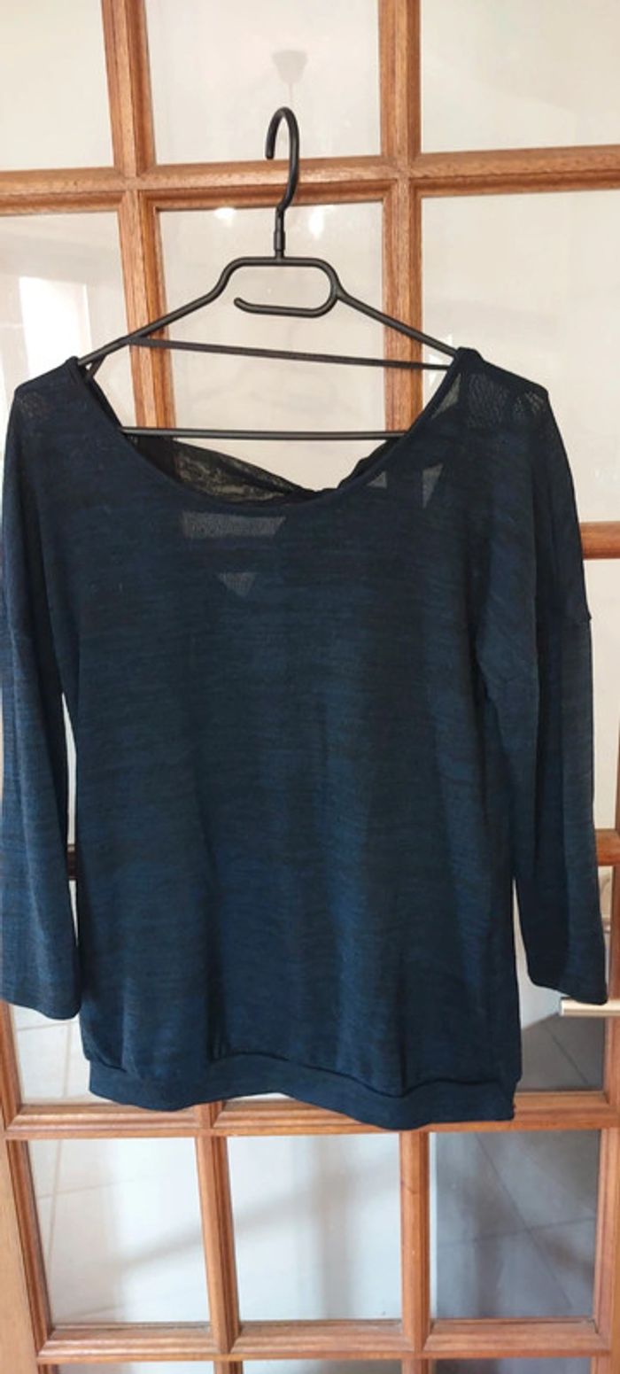 Pul fin - photo numéro 3