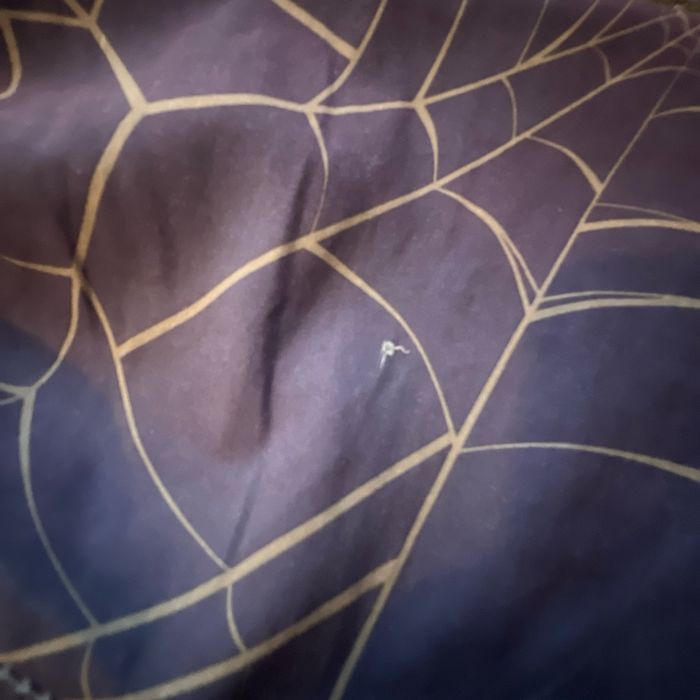 Short de bain Spiderman - photo numéro 4