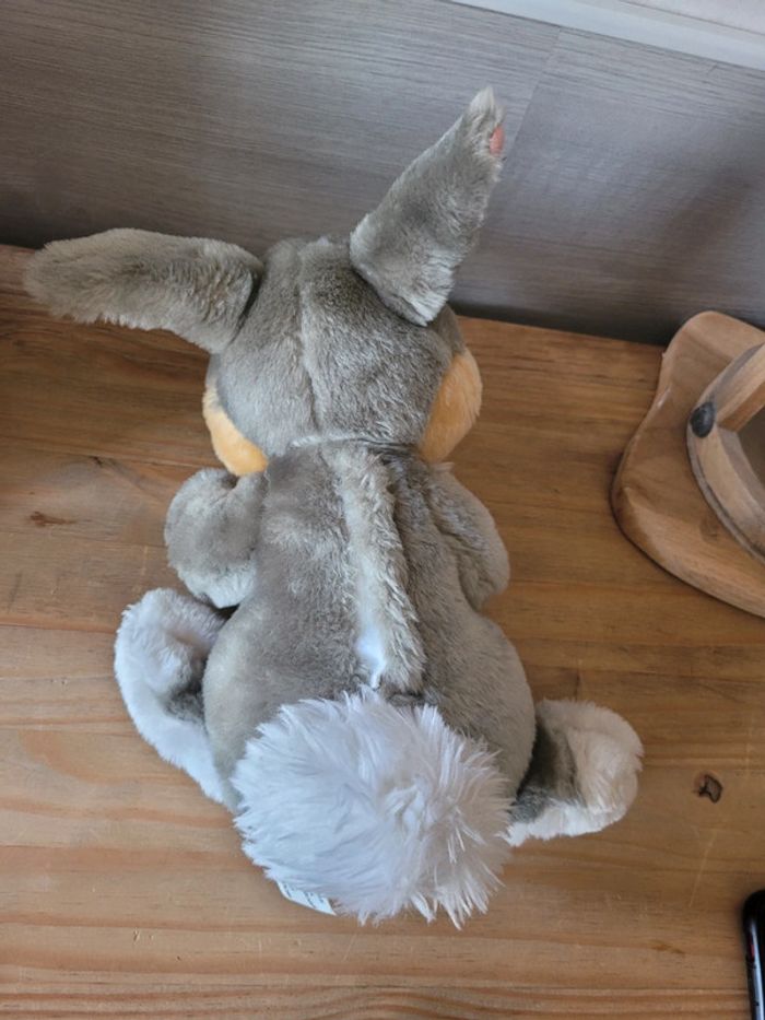 Lapin panpan - photo numéro 3