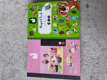 2 Magnetik book Janod 