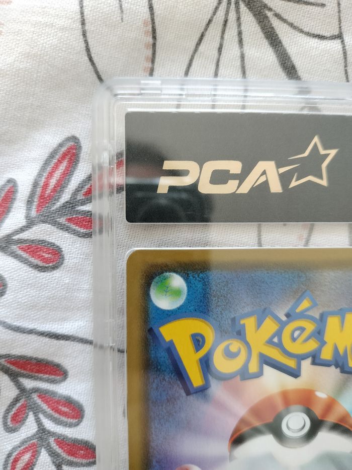 Kanazama's Pikachu pca 9,5 - photo numéro 7