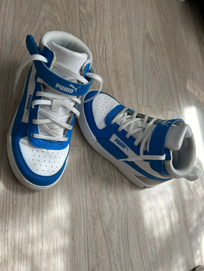 Puma bleu montante