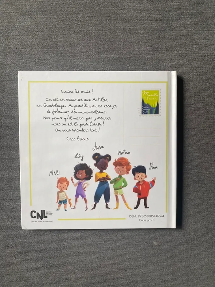 Livre McDonald's le volcan de la soufrière virginie grimaldi - photo numéro 2