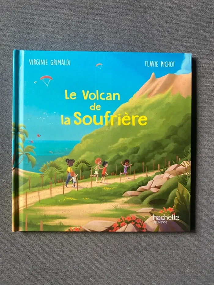 Livre McDonald's le volcan de la soufrière virginie grimaldi
