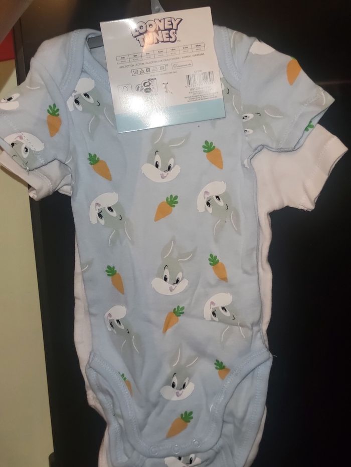 Lot 2 bodies - photo numéro 2