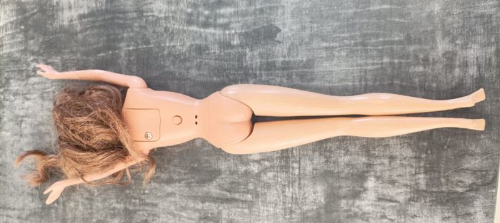 Lot de Barbies et vêtements vintage - photo numéro 8