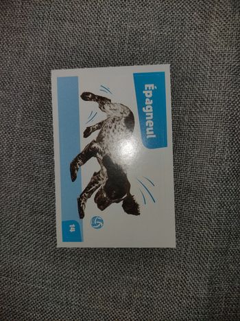 Autocollant nos amies les bêtes