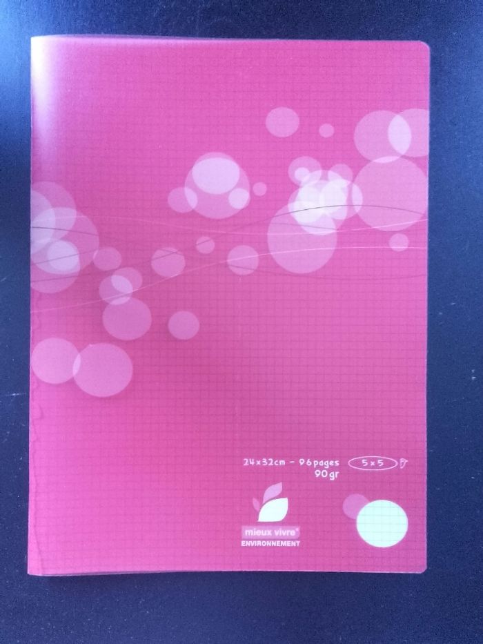 Cahier 24x32 - 96 pages - Rouge - petits carreaux - photo numéro 2
