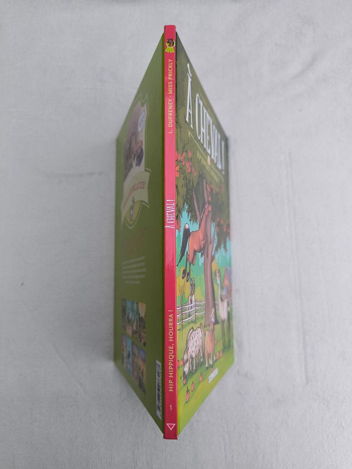 Livre À cheval Delcourt - photo numéro 7