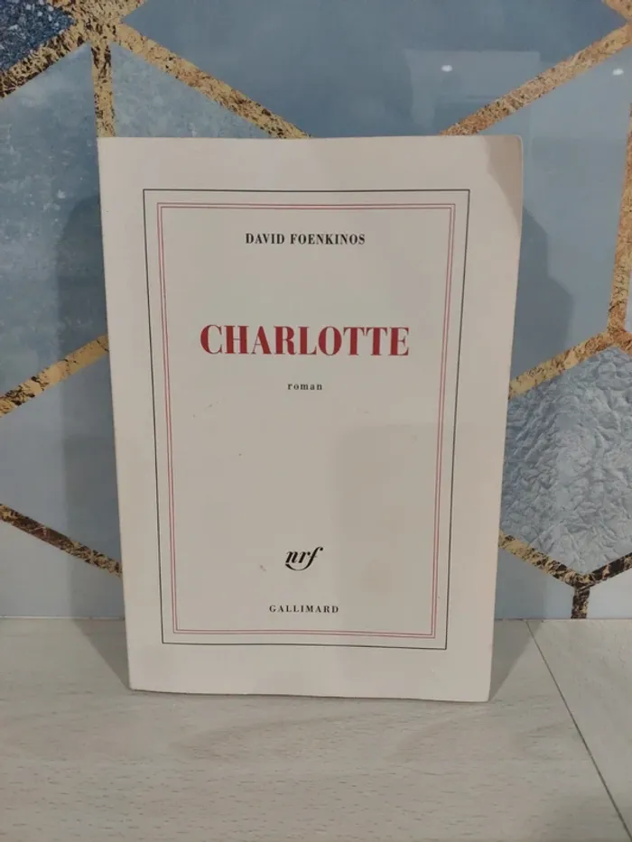 Livre grand format Charlotte Foenkinos