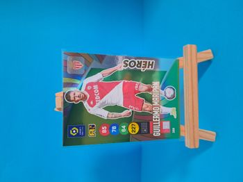 Carte panini Maripan 2021-22