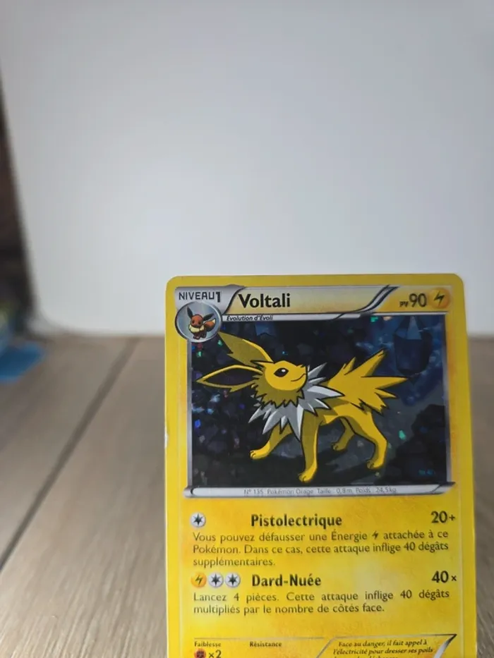 Torgamord Vmax 015/073 - photo numéro 2