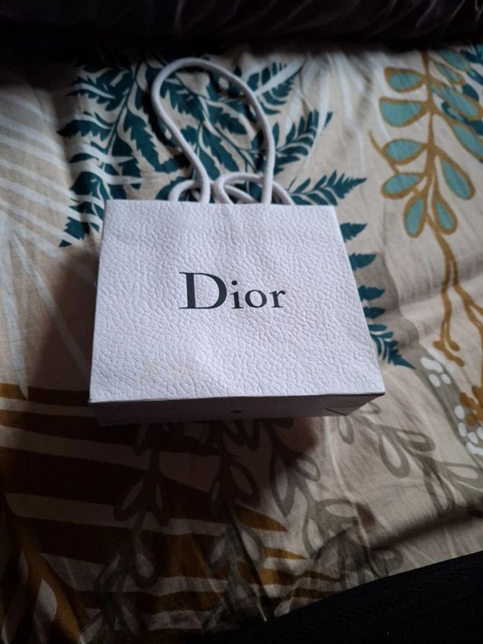Sac dior - photo numéro 4